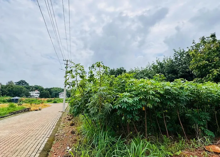 Rose Garden At Rajagiri Hospital