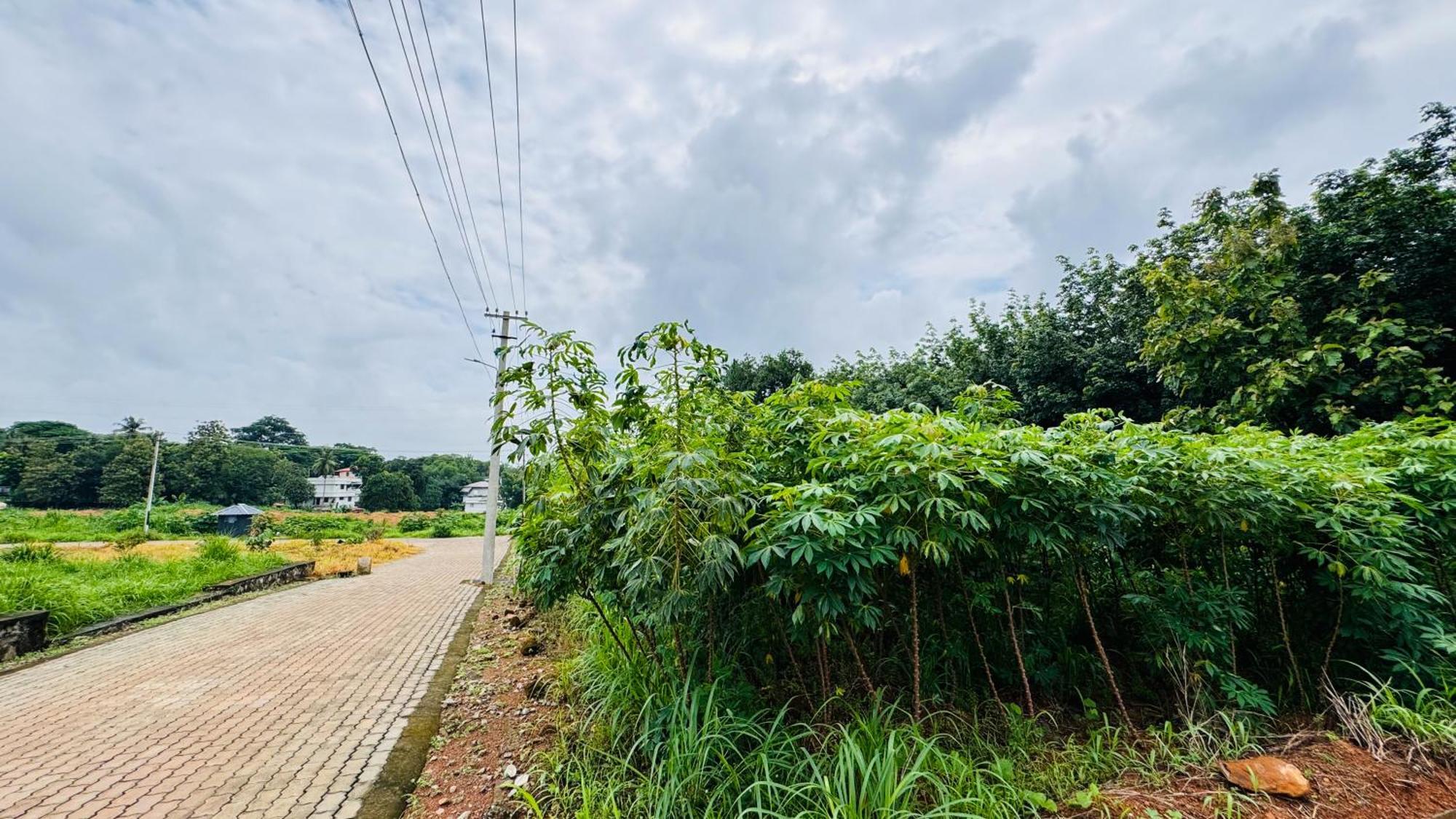 Apartment Rose Garden At Rajagiri Hospital